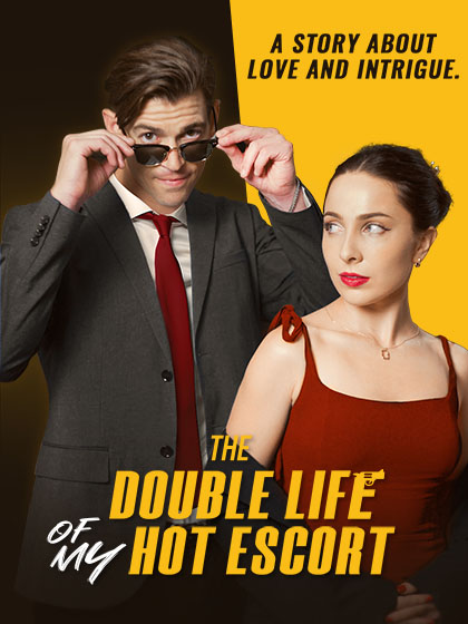 The Double Life of My Hot Escort poster